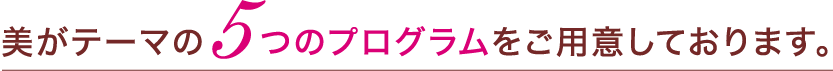 美がテーマの5つのプログラムをご用意しております